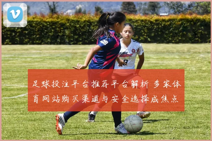 足球投注平台推荐平台解析 多家体育网站购买渠道与安全选择成焦点