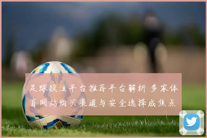 足球投注平台推荐平台解析 多家体育网站购买渠道与安全选择成焦点