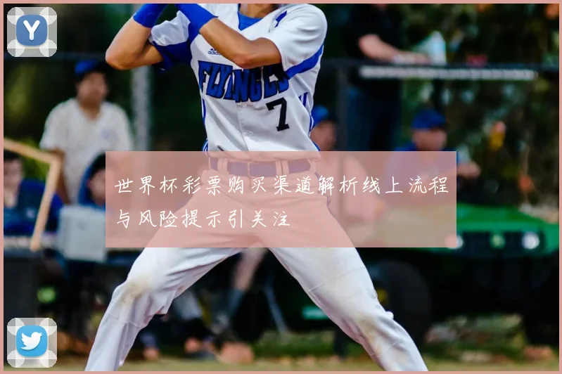 世界杯彩票购买渠道解析线上流程与风险提示引关注
