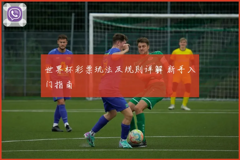 世界杯彩票玩法及规则详解 新手入门指南