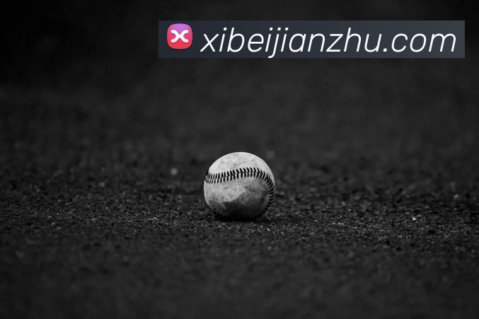 世界杯官网线上平台发展历程